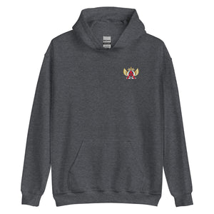 Official A.O.C. Pull-Over Hoodie