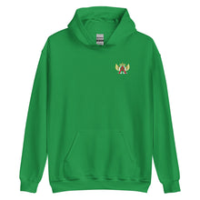 Load image into Gallery viewer, Official A.O.C. Pull-Over Hoodie
