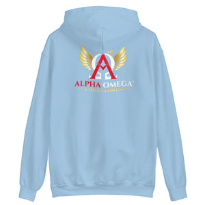 Official A.O.C. Pull-Over Hoodie