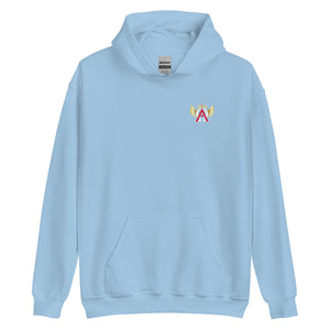 Official A.O.C. Pull-Over Hoodie